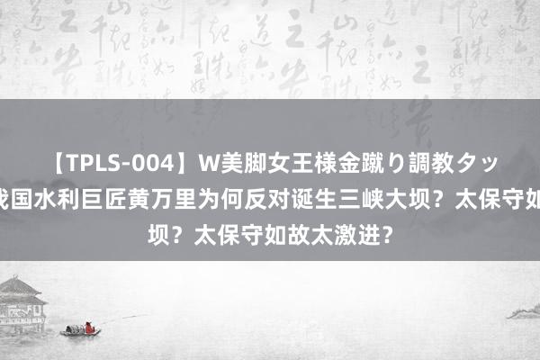 【TPLS-004】W美脚女王様金蹴り調教タッグマッチ 我国水利巨匠黄万里为何反对诞生三峡大坝？太保守如故太激进？