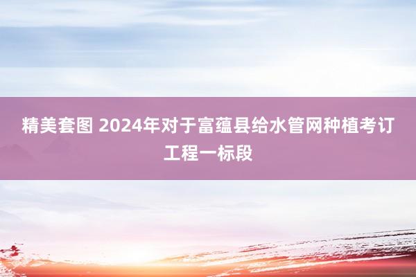 精美套图 2024年对于富蕴县给水管网种植考订工程一标段