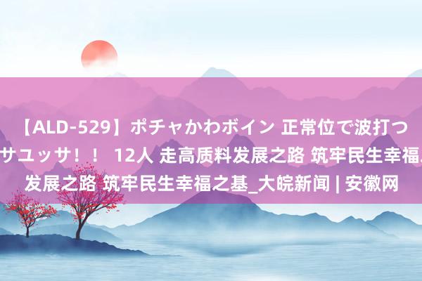 【ALD-529】ポチャかわボイン 正常位で波打つ腹肉！！騎乗位でユッサユッサ！！ 12人 走高质料发展之路 筑牢民生幸福之基_大皖新闻 | 安徽网