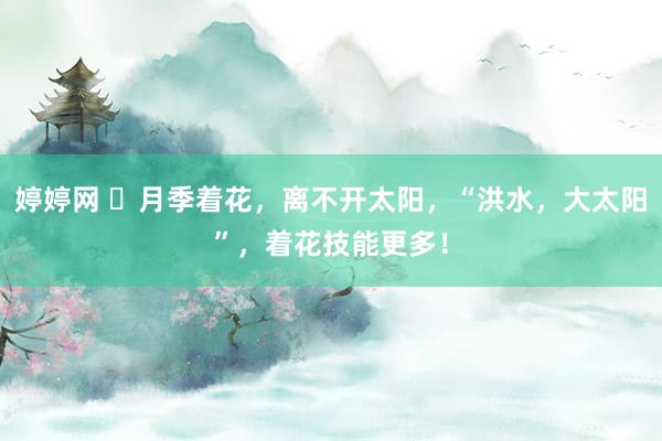 婷婷网 ​月季着花，离不开太阳，“洪水，大太阳”，着花技能更多！