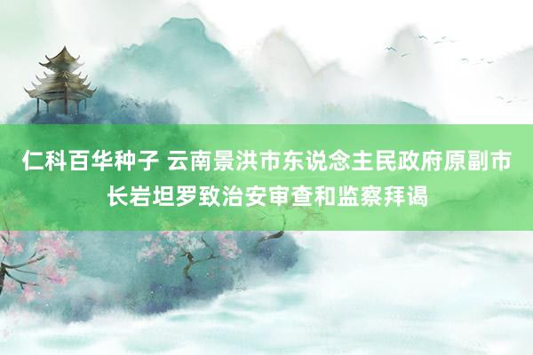 仁科百华种子 云南景洪市东说念主民政府原副市长岩坦罗致治安审查和监察拜谒