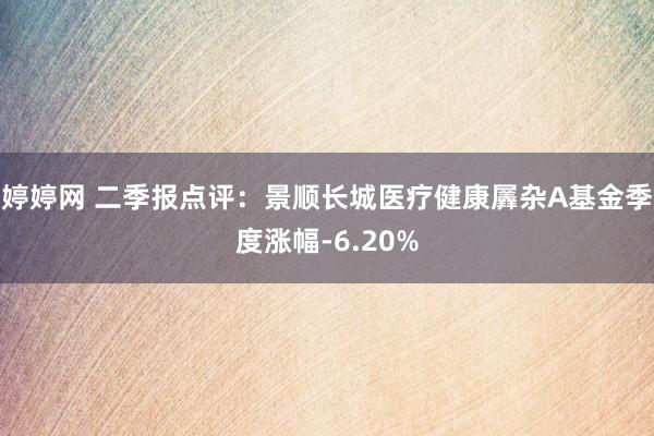 婷婷网 二季报点评：景顺长城医疗健康羼杂A基金季度涨幅-6.20%