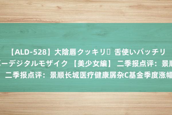 【ALD-528】大陰唇クッキリ・舌使いバッチリ・アナルまる見え スーパーデジタルモザイク 【美少女編】 二季报点评：景顺长城医疗健康羼杂C基金季度涨幅-6.29%