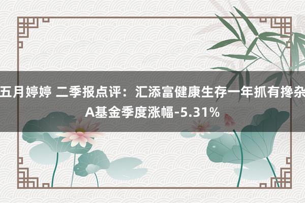 五月婷婷 二季报点评：汇添富健康生存一年抓有搀杂A基金季度涨幅-5.31%