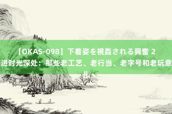 【OKAS-098】下着姿を視姦される興奮 2 走进时光深处：那些老工艺、老行当、老字号和老玩意儿