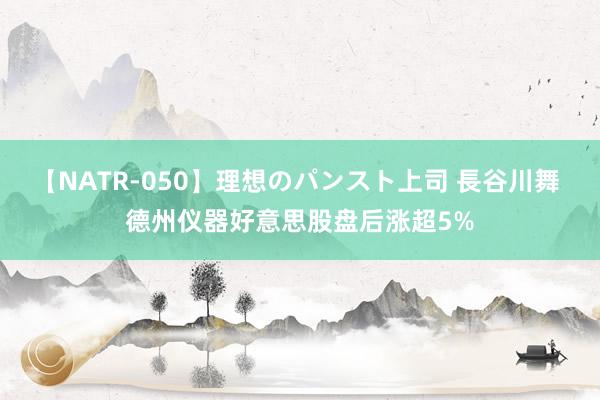 【NATR-050】理想のパンスト上司 長谷川舞 德州仪器好意思股盘后涨超5%