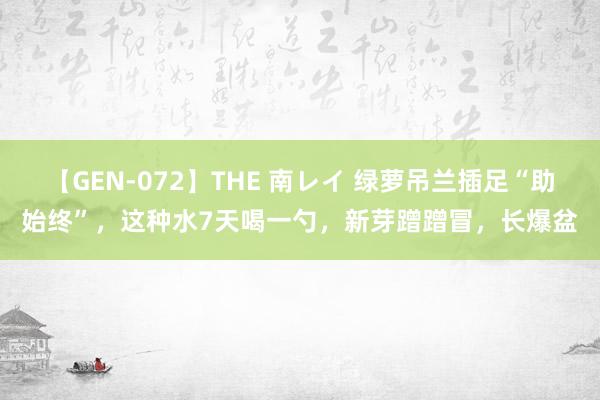 【GEN-072】THE 南レイ 绿萝吊兰插足“助始终”，这种水7天喝一勺，新芽蹭蹭冒，长爆盆