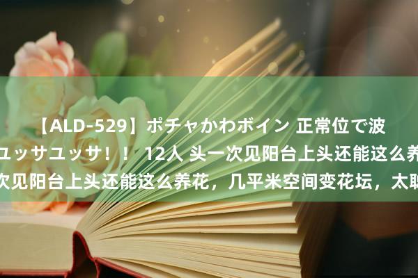 【ALD-529】ポチャかわボイン 正常位で波打つ腹肉！！騎乗位でユッサユッサ！！ 12人 头一次见阳台上头还能这么养花，几平米空间变花坛，太聪惠了