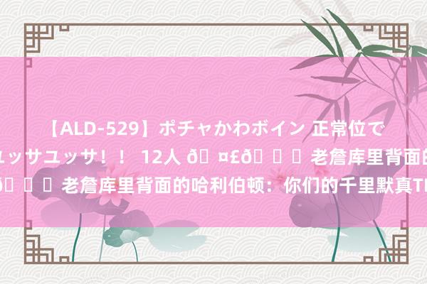 【ALD-529】ポチャかわボイン 正常位で波打つ腹肉！！騎乗位でユッサユッサ！！ 12人 ??老詹库里背面的哈利伯顿：你们的千里默真TM震耳欲聋