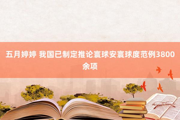 五月婷婷 我国已制定推论寰球安寰球度范例3800余项