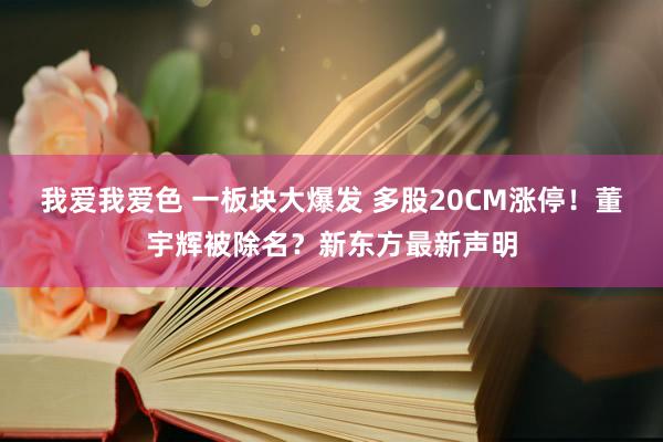 我爱我爱色 一板块大爆发 多股20CM涨停！董宇辉被除名？新东方最新声明