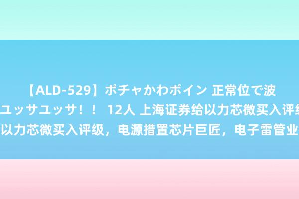 【ALD-529】ポチャかわボイン 正常位で波打つ腹肉！！騎乗位でユッサユッサ！！ 12人 上海证券给以力芯微买入评级，电源措置芯片巨匠，电子雷管业务加快成长