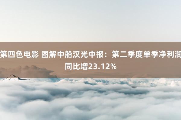 第四色电影 图解中船汉光中报：第二季度单季净利润同比增23.12%