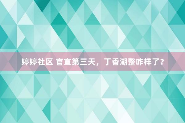 婷婷社区 官宣第三天，丁香湖整咋样了？