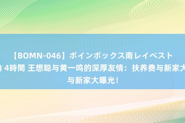 【BOMN-046】ボインボックス南レイベスト 巨乳輪 4時間 王想聪与黄一鸣的深厚友情：扶养费与新家大曝光！