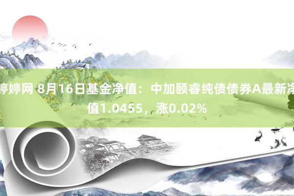 婷婷网 8月16日基金净值：中加颐睿纯债债券A最新净值1.0455，涨0.02%