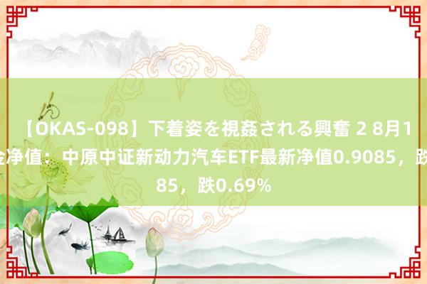 【OKAS-098】下着姿を視姦される興奮 2 8月16日基金净值：中原中证新动力汽车ETF最新净值0.9085，跌0.69%