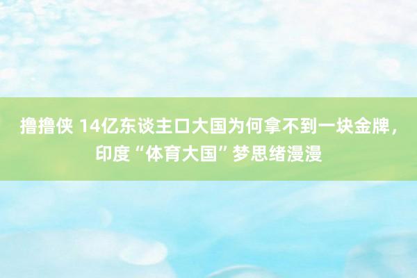 撸撸侠 14亿东谈主口大国为何拿不到一块金牌，印度“体育大国”梦思绪漫漫