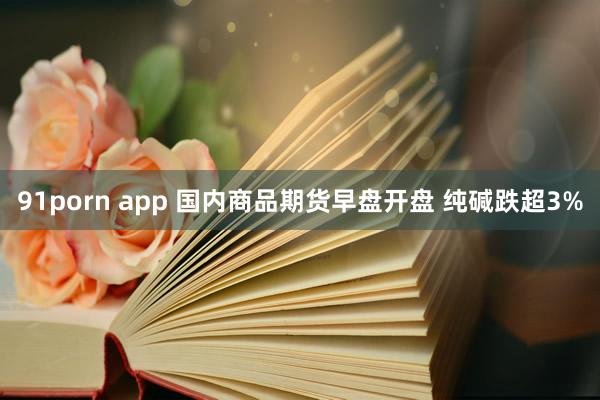 91porn app 国内商品期货早盘开盘 纯碱跌超3%