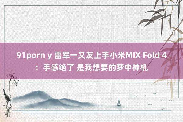 91porn y 雷军一又友上手小米MIX Fold 4：手感绝了 是我想要的梦中神机