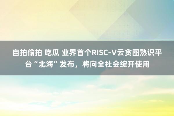 自拍偷拍 吃瓜 业界首个RISC-V云贪图熟识平台“北海”发布，将向全社会绽开使用