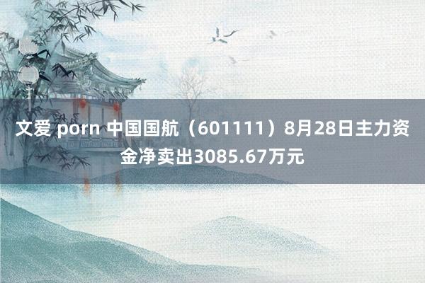 文爱 porn 中国国航（601111）8月28日主力资金净卖出3085.67万元