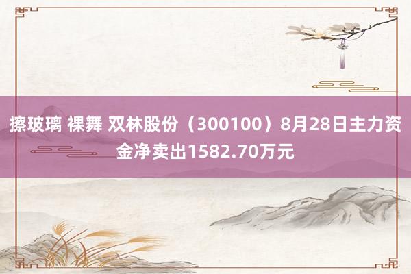 擦玻璃 裸舞 双林股份（300100）8月28日主力资金净卖出1582.70万元