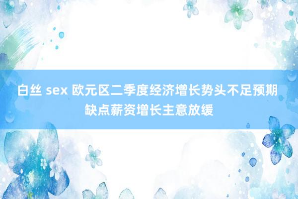 白丝 sex 欧元区二季度经济增长势头不足预期 缺点薪资增长主意放缓