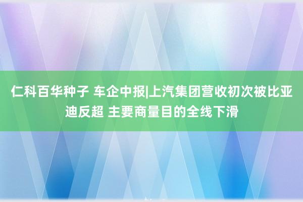 仁科百华种子 车企中报|上汽集团营收初次被比亚迪反超 主要商量目的全线下滑