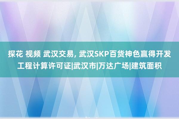 探花 视频 武汉交易， 武汉SKP百货神色赢得开发工程计算许可证|武汉市|万达广场|建筑面积