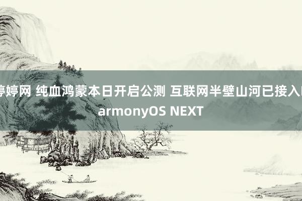 婷婷网 纯血鸿蒙本日开启公测 互联网半壁山河已接入HarmonyOS NEXT