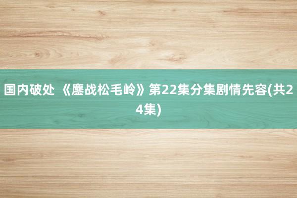 国内破处 《鏖战松毛岭》第22集分集剧情先容(共24集)