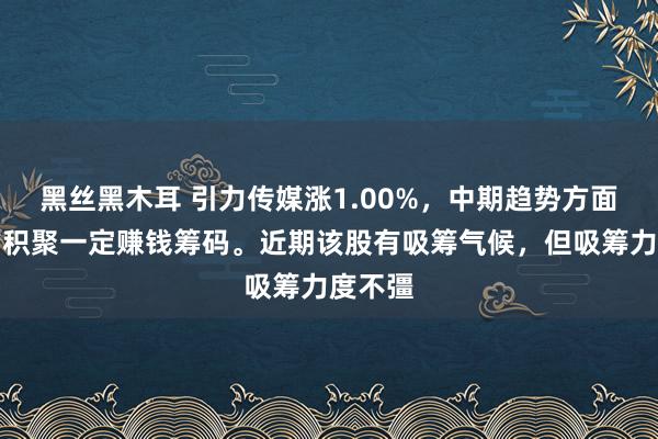 黑丝黑木耳 引力传媒涨1.00%，中期趋势方面，下方积聚一定赚钱筹码。近期该股有吸筹气候，但吸筹力度不彊