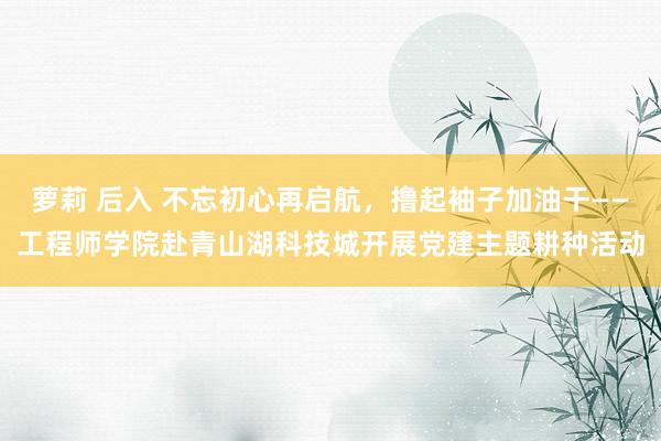 萝莉 后入 不忘初心再启航，撸起袖子加油干——工程师学院赴青山湖科技城开展党建主题耕种活动