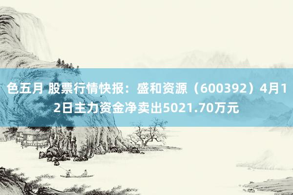 色五月 股票行情快报：盛和资源（600392）4月12日主力资金净卖出5021.70万元