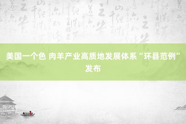 美国一个色 肉羊产业高质地发展体系“环县范例”发布