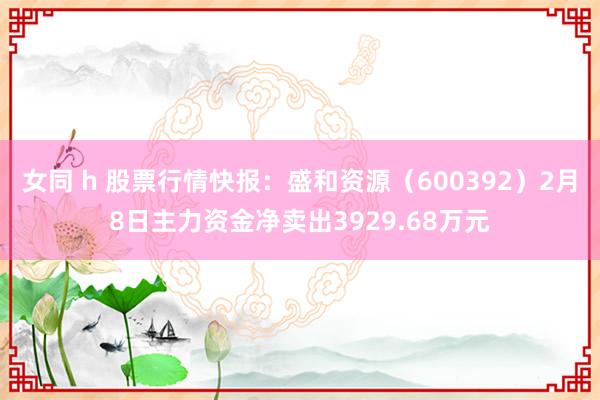 女同 h 股票行情快报：盛和资源（600392）2月8日主力资金净卖出3929.68万元